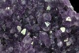 Purple Amethyst Cluster - Uruguay #66788-3